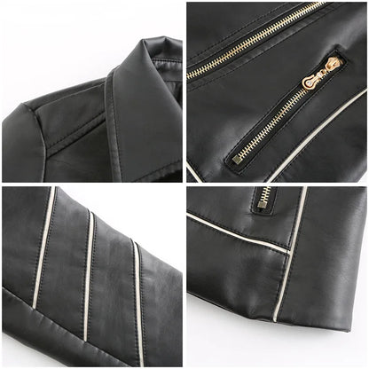 XS-2XL, 59.99 - 99.99 - 22.00, Panther Leather Jacket - Jack Hafford